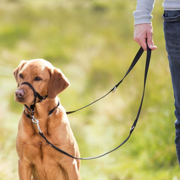 Trixie Top Trainer Snudesele L