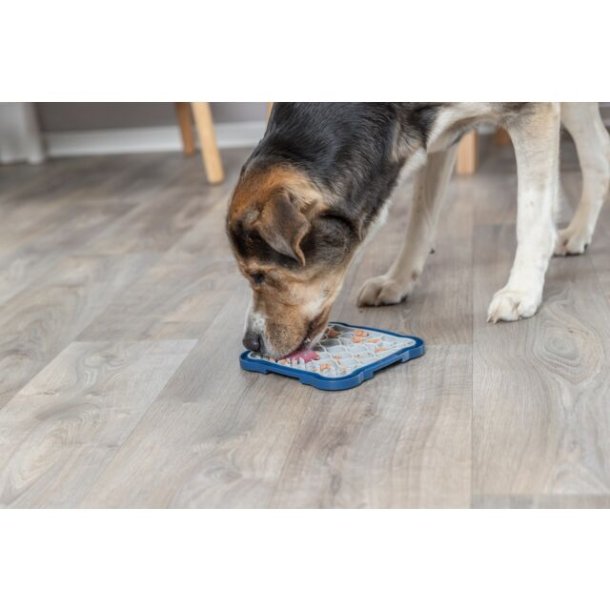 Lick'n'Snack plate,  20 � 20 cm 