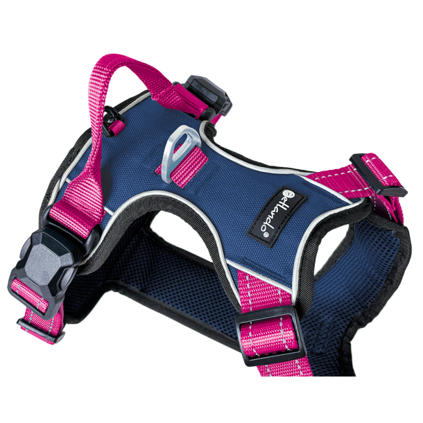 Petlando Outdoor Magnetech Hundesele - Fuchsia/Navy
