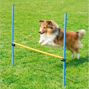 Pawise -  Justerbar Agility H�jdespring