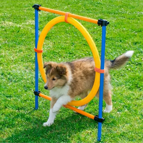 Pawise -  Justerbar Agility spring m. ring