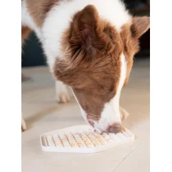 Peanutbutter til hunde m. Spirulina &amp; Kelp - 300 g