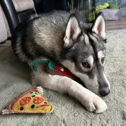Green &amp; Wilds - Pepe le Pizza