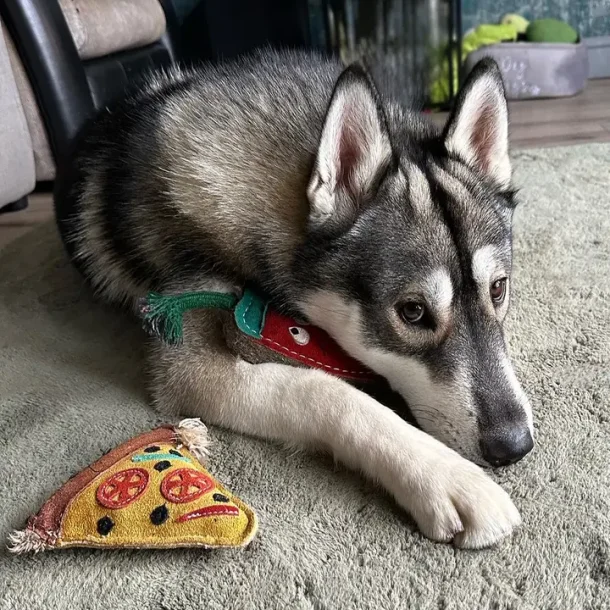 Green &amp; Wilds - Pepe le Pizza