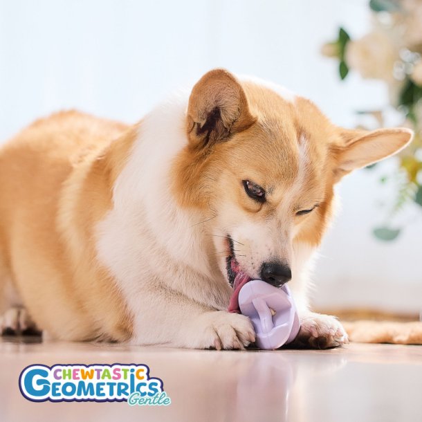 PetDreamHouse - Chewtastic Geometrics Geo-AstroRolly