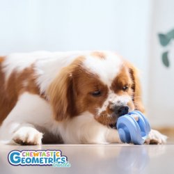 PetDreamHouse - Chewtastic Geometrics Geo-Hex
