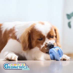 PetDreamHouse - Chewtastic Geometrics Geo-Hex