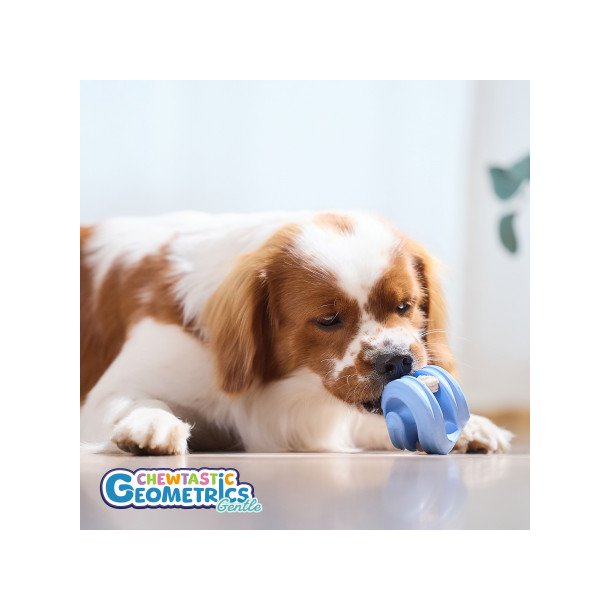 PetDreamHouse - Chewtastic Geometrics Geo-Hex