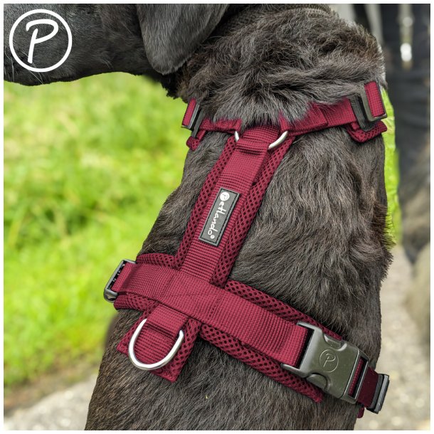 Petlando Y-Comfort Hundesele - Bordeaux