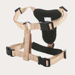 Petlando Basic Comfort Plus Hundesele - Champagne