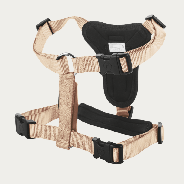 Petlando Basic Comfort Plus Hundesele - Champagne