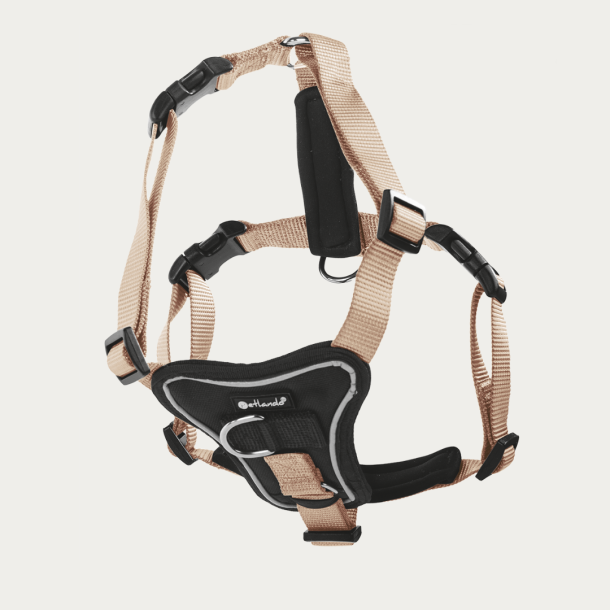 Petlando Basic Comfort Plus Hundesele - Champagne