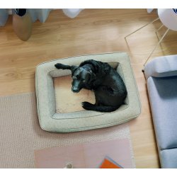 Lima Ortopdisk Hundeseng - Beige