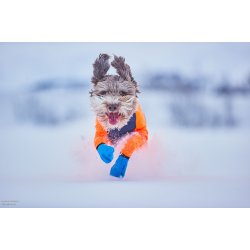 Non-Stop Dogwear - Lang distance booties