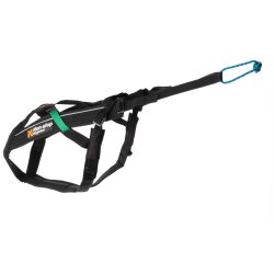 Non-Stop Dogwear Freemotion