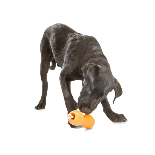 West Paw Qwizl Aktivitetslegetj