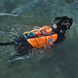 Non-stop - Protector redningsvest til hunde, Orange