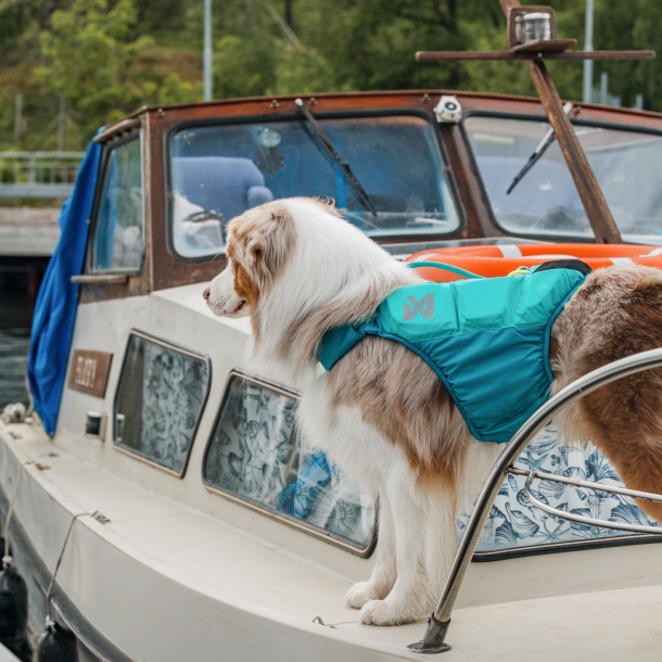 Non-stop - Protector redningsvest til hunde, Teal