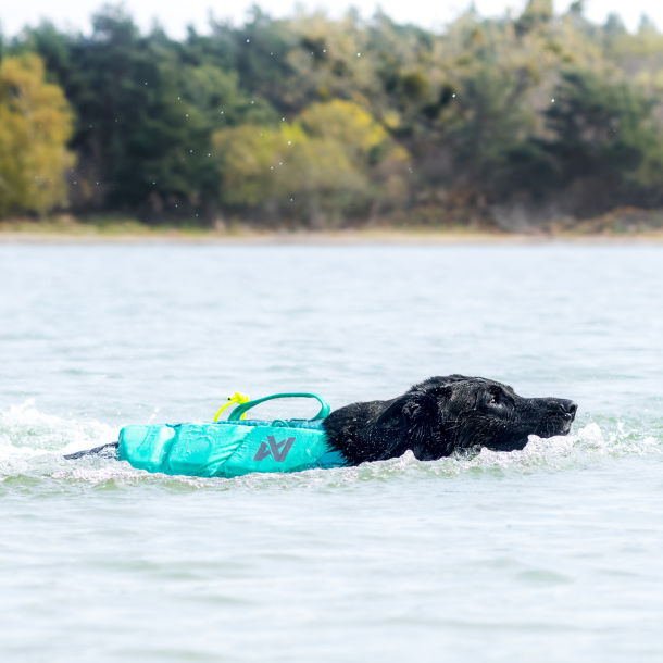 Non-stop - Protector redningsvest til hunde, Teal