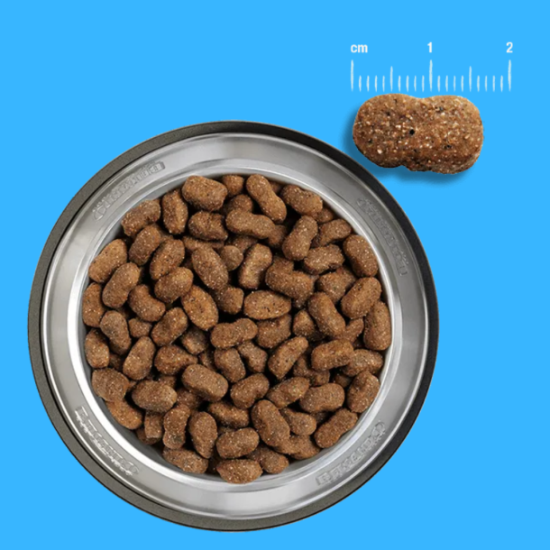 Belcando Junior GF Kylling , Str: M -XL