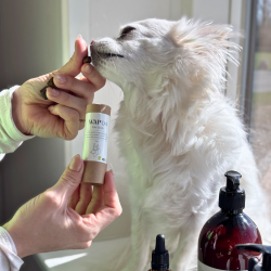 WAP04 - �ko Vegansk Pote Stick, 30ML