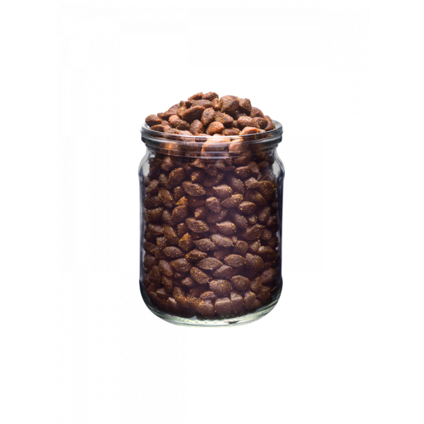 Brit Fresh Adult Active Run &amp; Work Trfoder, And &amp; Hirse