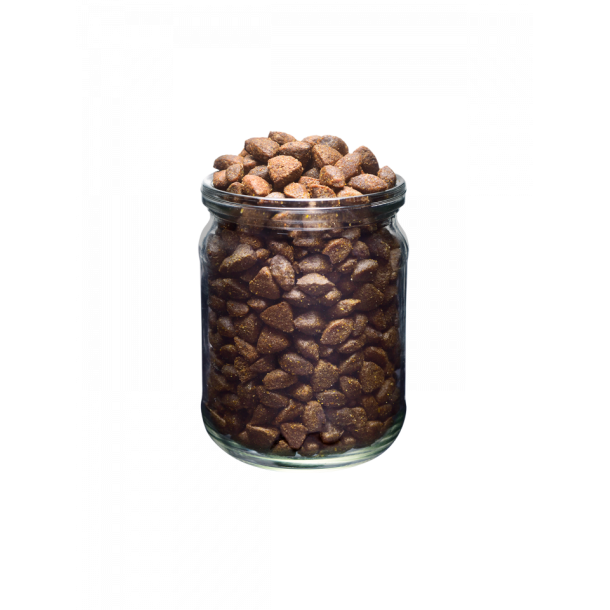 Brit Fresh Adult Fit &amp; Slim Trfoder, Kalkun &amp; rter