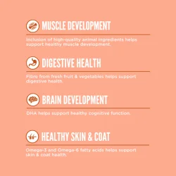 Orijen Dog - Puppy Small Breed