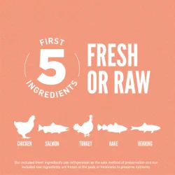 Orijen Dog - Puppy Small Breed