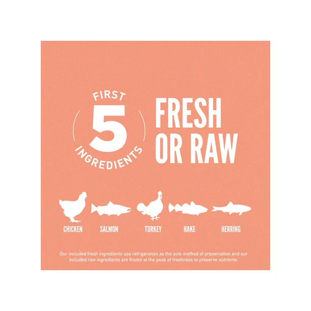 Orijen Dog - Puppy Small Breed