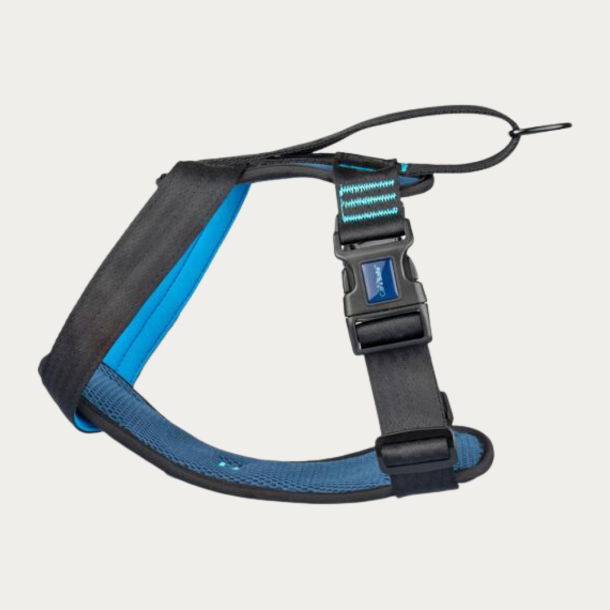 CarSafe Crash Tested Hundesele