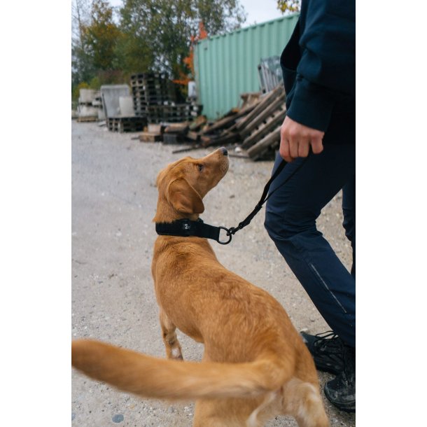 Security Strap WD - sikkerhedsstrop