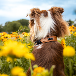 Petlando Mesh Halsbnd - Cognac 