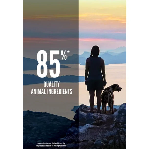 Orijen Dog - Six Fish