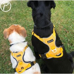 Petlando Outdoor Hundesele - Gul/gr