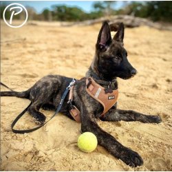 Petlando Mesh Vest - Cognac