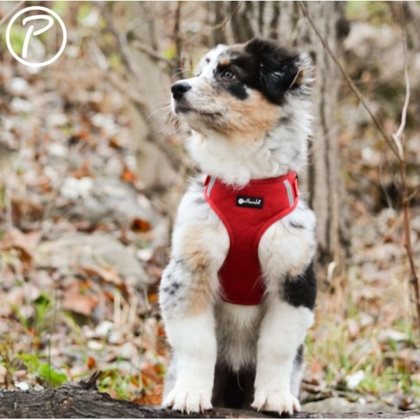 Petlando Mesh Vest - Rd