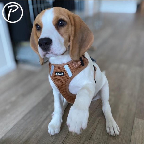 Petlando Mesh Vest - Cognac