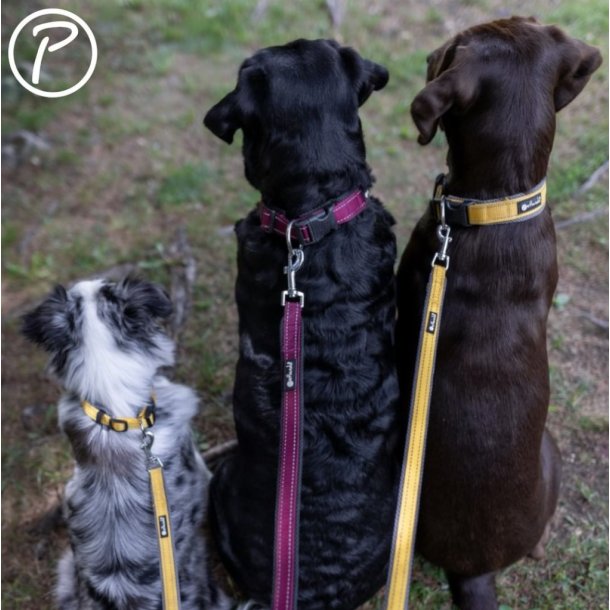Petlando Outdoor Justerbar Hundesnor - Gul/gr