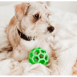 JW - Hol-ee air bold i naturgummi