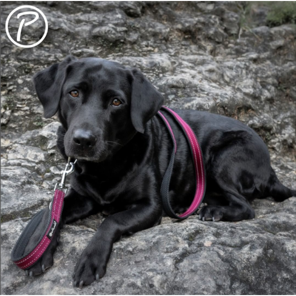 Petlando Outdoor Justerbar Hundesnor - Berry/sort