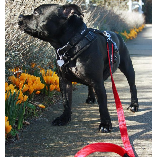 Petlando Outdoor Justerbar Hundesnor - Sort/rd