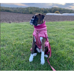 Hurtta - Razzle-Dazzle Midlayer - Beetroot