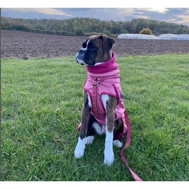 Hurtta - Razzle-Dazzle Midlayer - Beetroot