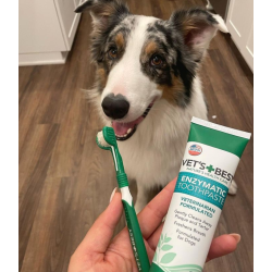 Vet's Best 3 delt hunde tandbrste, 21 cm