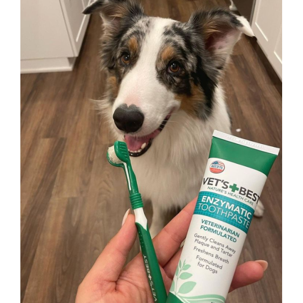 Vet's Best 3 delt hunde tandbrste, 21 cm