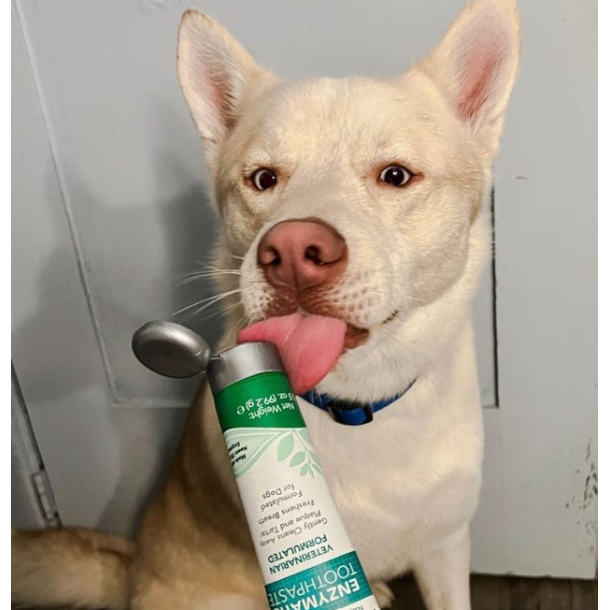 Vet's Best Dental Gel - Hunde Tandpasta