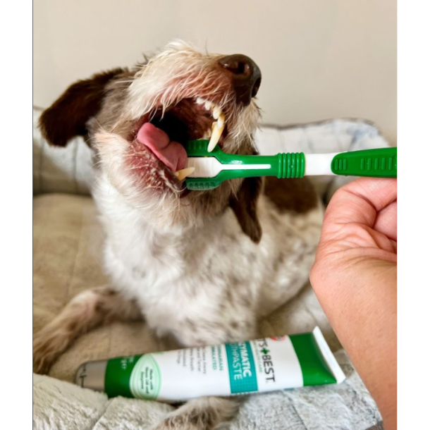 Vet's Best 3 delt hunde tandbrste, 21 cm