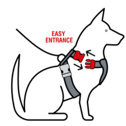 Petlando Basic Comfort Hundesele - Sort 