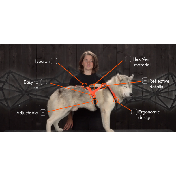 Rush Lbesele Orange/Sort